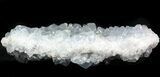 Double-Faced Celestine (Celestite) Crystal Cluster - Madagascar #45651-3